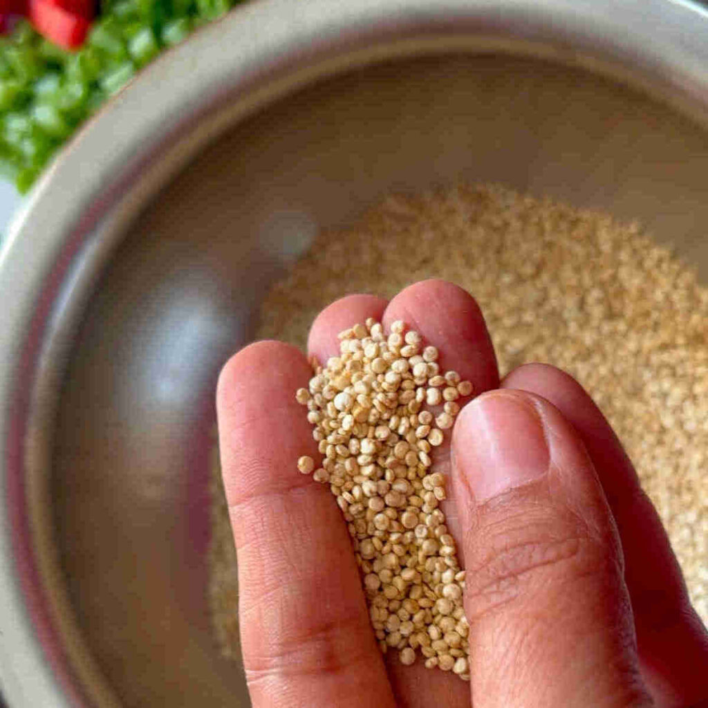 raw quinoa ready for soaking