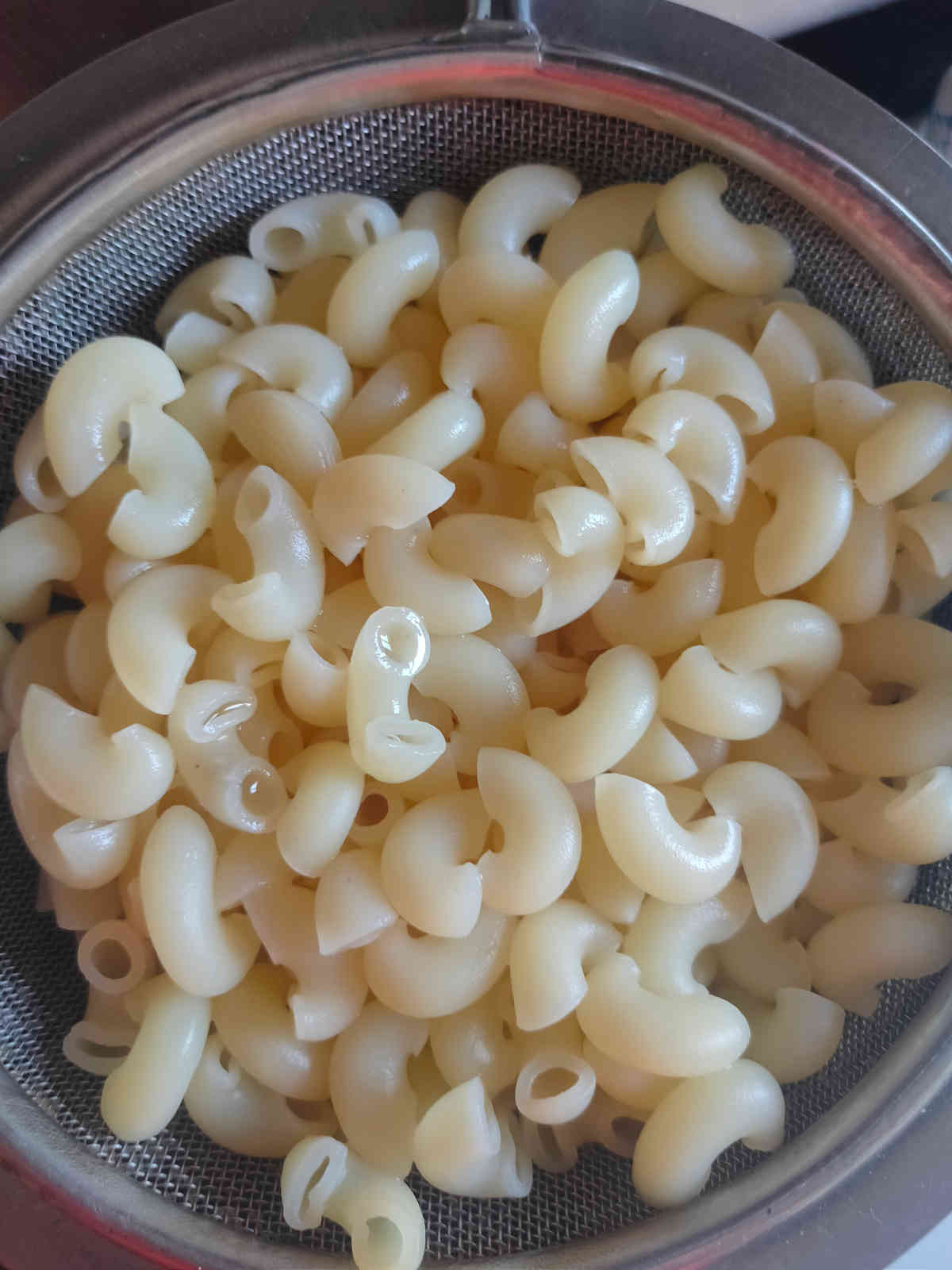 boiled macaroni for having with pumpkin pasta sauce