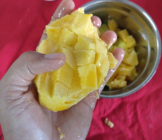 ingredients for mango pumpkin ice cream