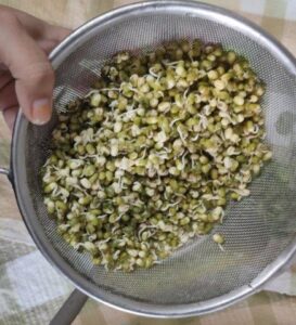 Moong Sprouts