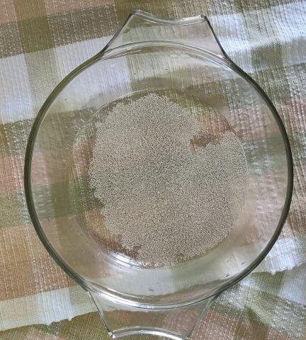 yeast sugar in warm water