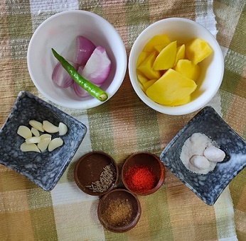 spices, raw mango, onion garlic for cilantro dip