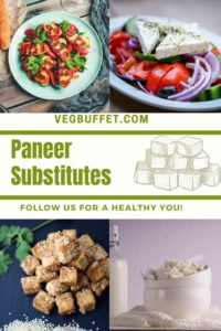 substitutes of paneer