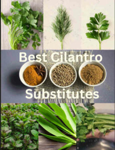 Substitutes for cilantro