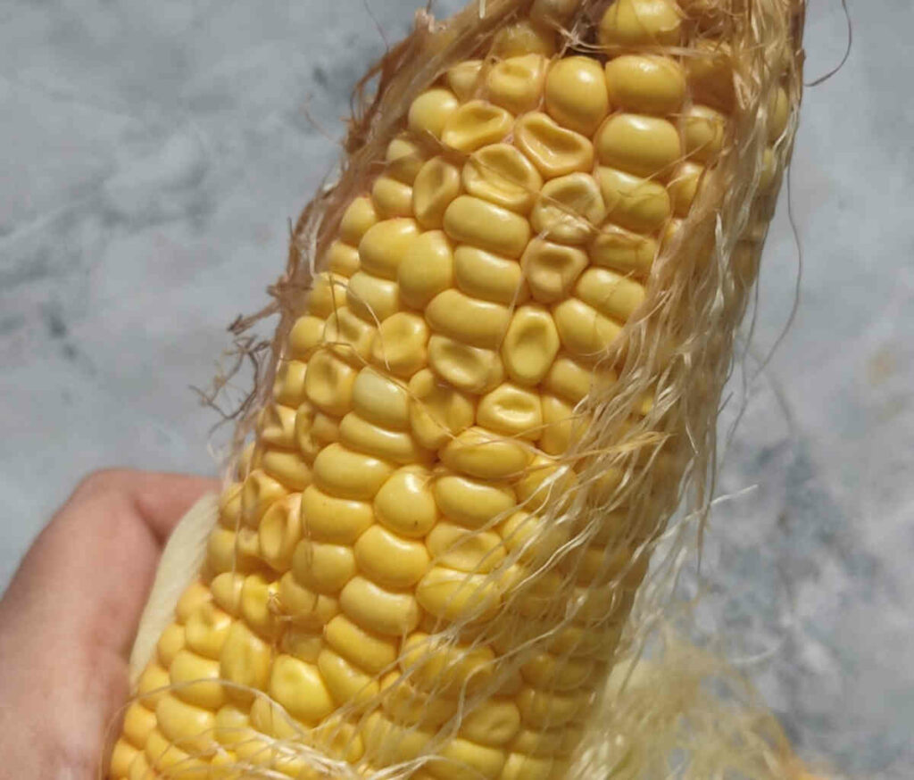 remove the hair and silk thread from corn for air frying