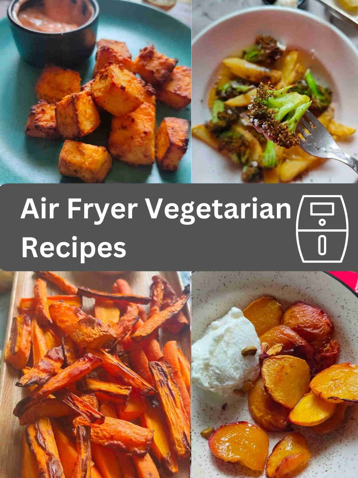 air fryer vegetarian recipes collection