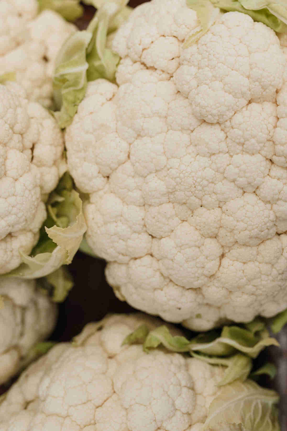 cauliflower as low carb potato substitute