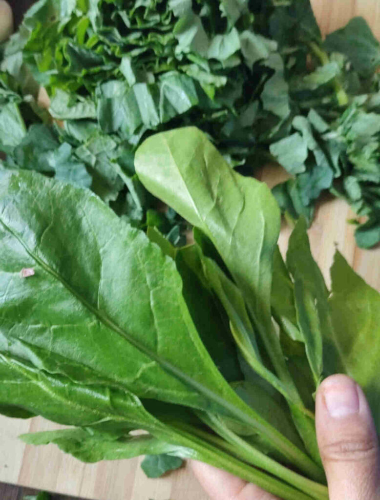 spinach leaves sorted for saag paneer
