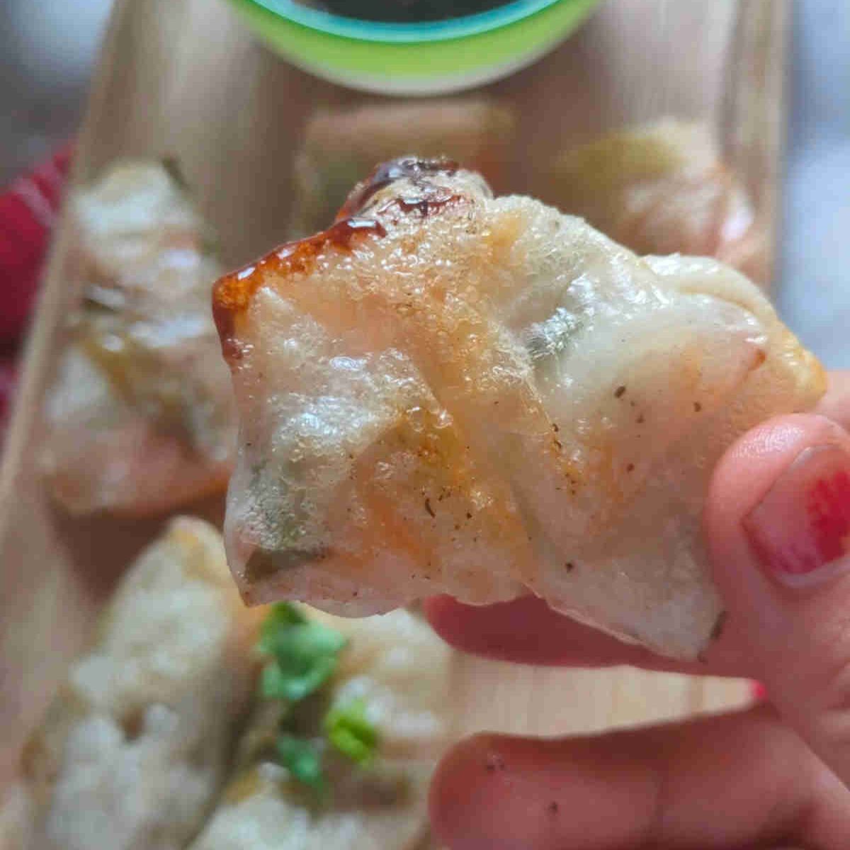 air fryer rice paper rolls Vietnamese dumplings