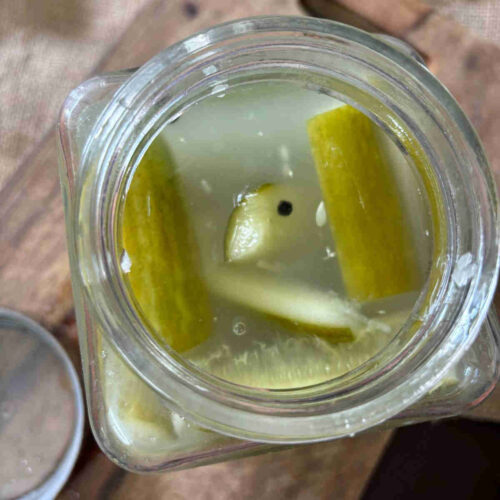 best fermented cucumber pickle recipe